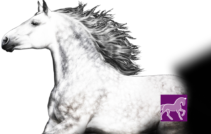 Kat equinova  bewegungsapparat